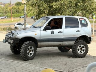 2003 Chevrolet Niva I, серебристый, 230000 рублей, вид 2