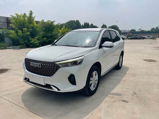 2021 Haval M6 Plus II, белый, 1100000 рублей, вид 1
