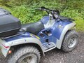 2001 BRP Can-Am Ryker, синий, 350000 рублей - вид 2