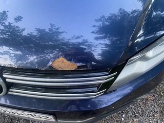 2011 Volkswagen Tiguan I Рестайлинг, синий, 800000 рублей, вид 2