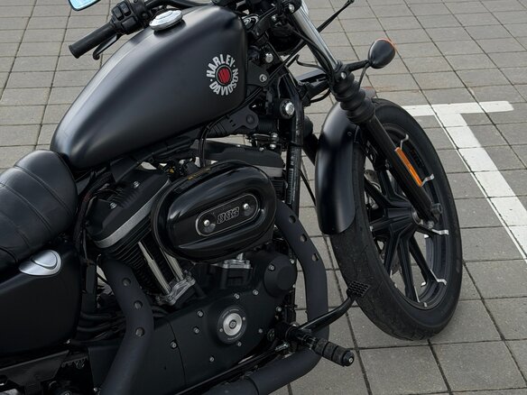 2019 Harley-Davidson Sportster 883, чёрный, 635000 рублей - вид 1