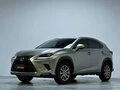2020 Lexus NX 200 I Рестайлинг, серый