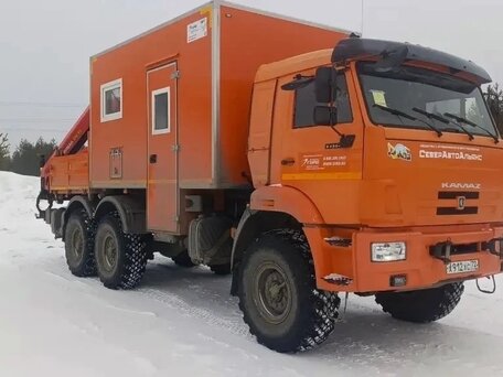 2019 КамАЗ 5350, оранжевый, 10000000 рублей, вид 1