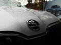 2019 Skoda Octavia III (A7) Рестайлинг, серебристый, 2039900 рублей - вид 11