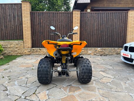 2008 BRP Can-Am DS 250, жёлтый, 329990 рублей, вид 4