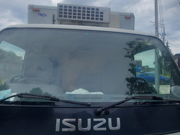 1998 Isuzu Elf (N-series), белый, 900000 рублей - вид 8
