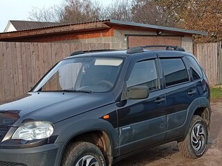2010 Chevrolet Niva I Рестайлинг, коричневый, 420000 рублей, вид 2