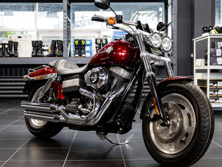 2009 Harley-Davidson Fat Bob, красный, 890000 рублей, вид 1