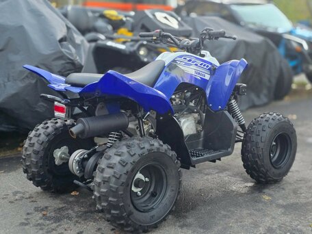 2019 Yamaha Raptor YFM90, синий, 220000 рублей, вид 5