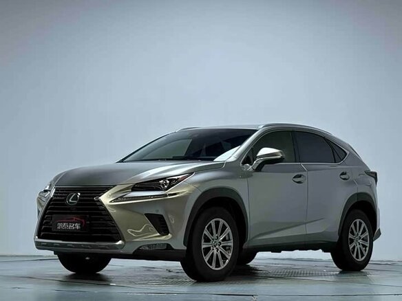 2020 Lexus NX 200 I Рестайлинг, серый - вид 1