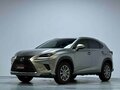 2020 Lexus NX 200 I Рестайлинг, серый - вид 1