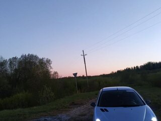 2008 Peugeot 206, серый, 160000 рублей, вид 1