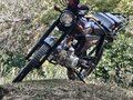 2025 Racer Alpha, пурпурный - вид 5