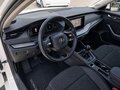 2023 Skoda Octavia IV (A8), белый, 2242000 рублей - вид 3