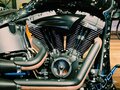 2012 Harley-Davidson Fat Boy, чёрный, 3700000 рублей - вид 9