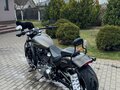 2019 Harley-Davidson Breakout, серый, 1800000 рублей - вид 10