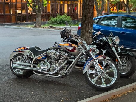 2007 Arlen Ness Lowliner, серебристый, 2300000 рублей, вид 5