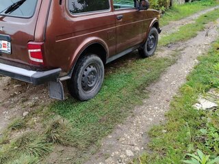 2019 Lada (ВАЗ) 2121 (4x4) I Рестайлинг (2020), коричневый, 650000 рублей, вид 4