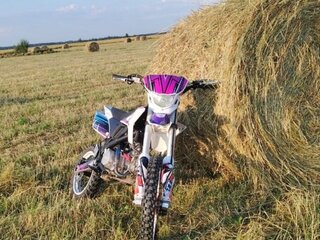 2021 Wels RT 140, фиолетовый, 83000 рублей, вид 1
