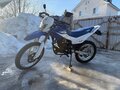 2014 Irbis TTR 250, синий, 80000 рублей