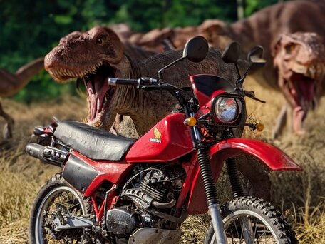 1985 Honda XL 250, красный, 180000 рублей, вид 3