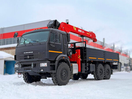 2026 КамАЗ 43118, чёрный, 12300000 рублей, вид 3