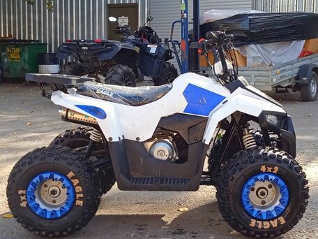 2026 Motoland ATV 110 Eagle, белый, 85400 рублей, вид 4