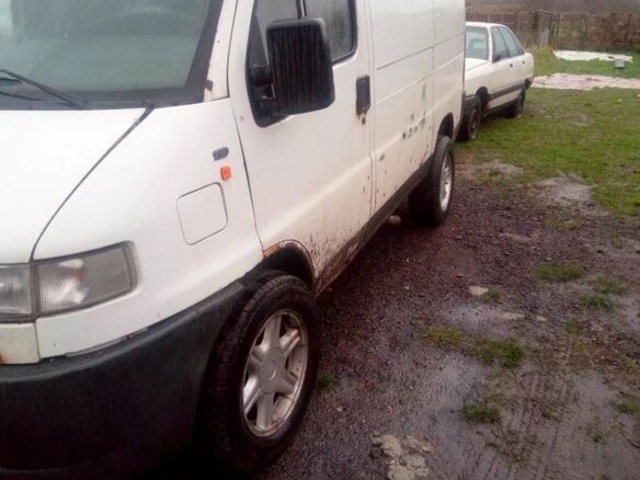 1999 Fiat Professional Ducato, белый, 270000 рублей - вид 2