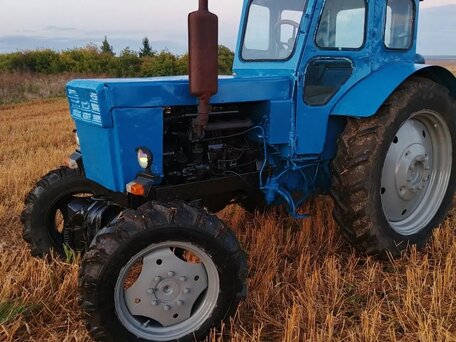 1983 ЛТЗ Т-40АМ, голубой, 275000 рублей, вид 2