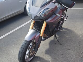 2011 Triumph Tiger 1050, серый, 450000 рублей, вид 2