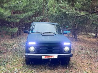 2013 Lada (ВАЗ) 2121 (4x4) I Рестайлинг, зелёный, 515000 рублей, вид 1