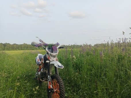 2023 Kayo Basic TT125EM, красный, 75000 рублей, вид 2