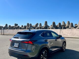 2020 Lexus NX 300 I Рестайлинг, серый, 4090000 рублей, вид 5