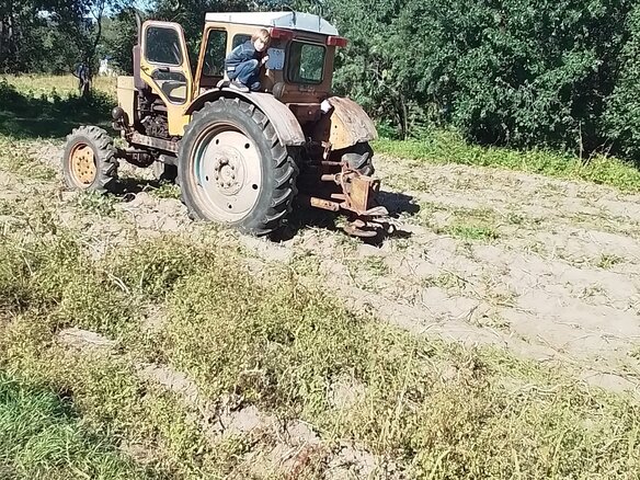 1984 ЛТЗ Т-40АМ, жёлтый, 600000 рублей