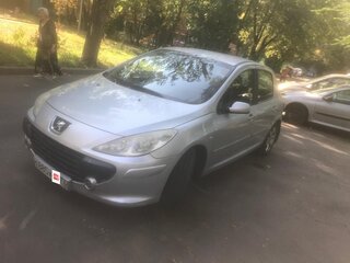2006 Peugeot 307 I Рестайлинг, серебристый, 340000 рублей, вид 1