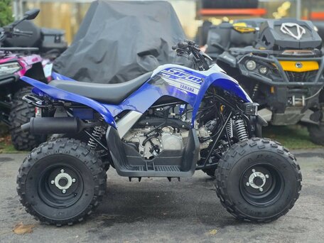 2019 Yamaha Raptor YFM90, синий, 220000 рублей, вид 4
