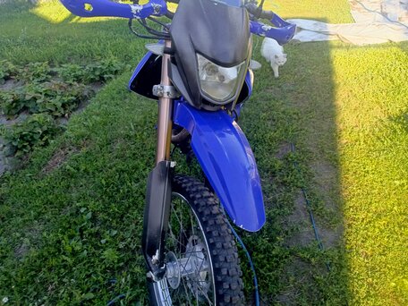 2017 Irbis TTR 250, синий, 68000 рублей, вид 2