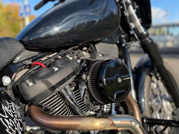 2021 Harley-Davidson Street Bob, серый - вид 10