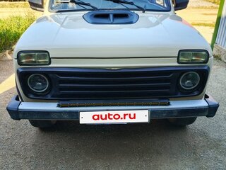 1995 Lada (ВАЗ) 2121 (4x4) I Рестайлинг, бежевый, 320000 рублей, вид 1