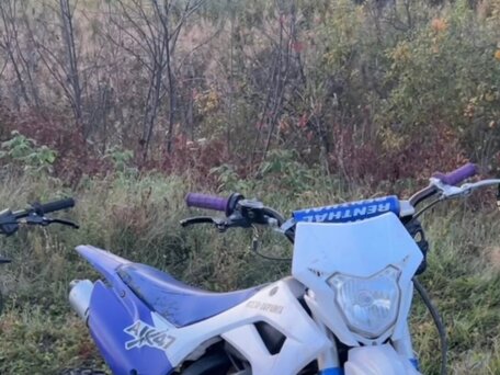 2024 Motoland CRF125, синий, 55000 рублей, вид 5