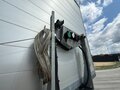 2024 Mammut CH 240-A, серый, 3950000 рублей - вид 9