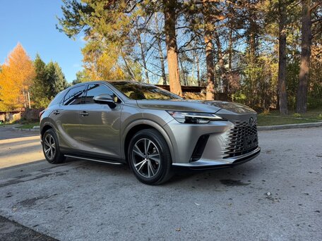 2024 Lexus RX 300 V, серый, 6590000 рублей, вид 3