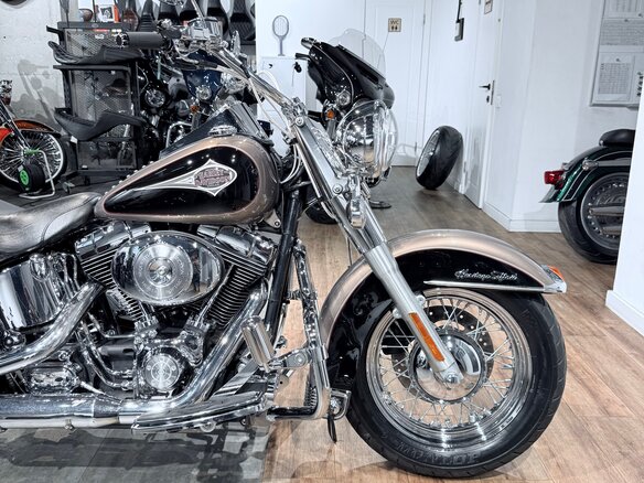 2004 Harley-Davidson Heritage, бежевый, 999000 рублей - вид 11