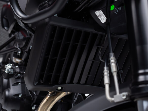 2026 Royal Enfield Himalayan, чёрный, 620000 рублей - вид 13