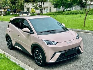 2025 BYD Seagull 38.88 kWh I Рестайлинг, розовый, 1050000 рублей, вид 3