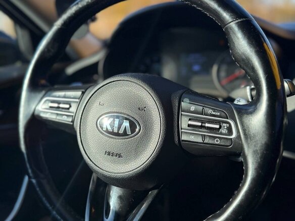 2018 Kia Stinger I, чёрный, 2000000 рублей - вид 13