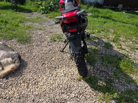 2019 Motoland Enduro 250, красный, 95000 рублей, вид 2