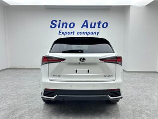 2020 Lexus NX 200 I Рестайлинг, белый, 2590000 рублей, вид 5