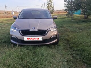 2020 Skoda Rapid II, коричневый, 1700000 рублей, вид 2