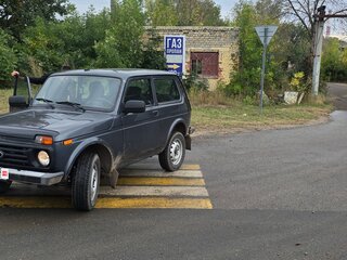 2019 Lada (ВАЗ) 2121 (4x4) I Рестайлинг, серый, 430000 рублей, вид 2